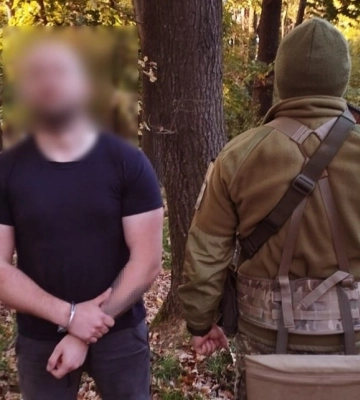 Вирубали дерев на майже 8 мільйонів гривень: на Закарпатті затримали двох чоловіків за підозрою у вирубці лісу