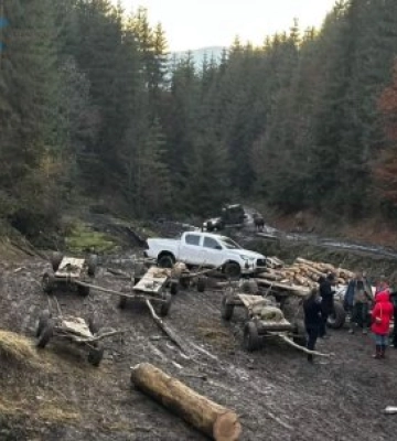 Незаконна рубка в Карпатах із мільйонними збитками та перешкоджання поліції: викрито масштабну незаконну схему «чорних&amp;hellip;