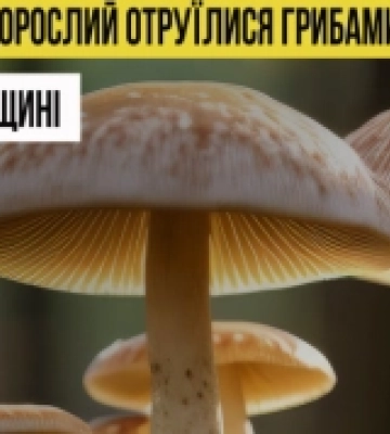 На Тернопільщині восьмеро дітей і один дорослий отруїлися дикими грибами