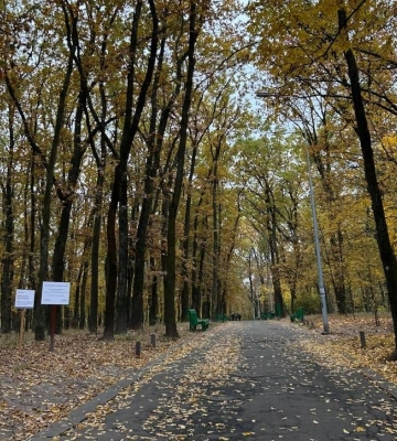 Хмарно, але без опадів: прогноз погоди на 31 жовтня