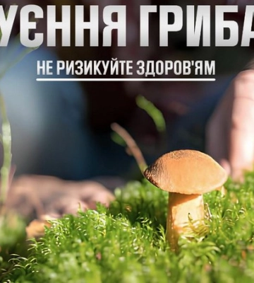На Тернопільщині восьмеро дітей та дорослий отруїлися грибами: що відомо