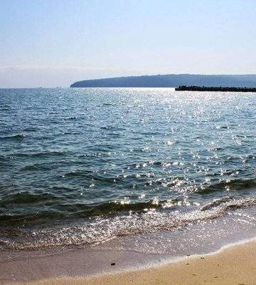 На Миколаївщині збирають свідчення про вплив російського вторгнення на стан Чорного моря