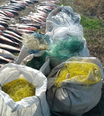 Наловили 1 тонну риби на 13 сіток: біля водойма Дніпропетровщини затримали групу чоловіків