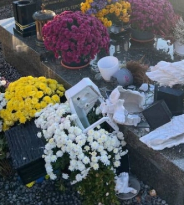 Наруга над могилами військових у Львові: поліція встановила особу зловмисниці