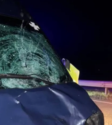 На Київщині водій Renault на смерть збив жінку, яка стояла на дорозі