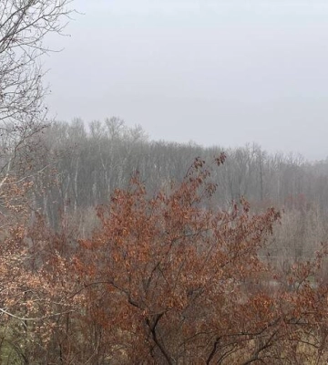 У перший день зими на Полтавщині буде морозно