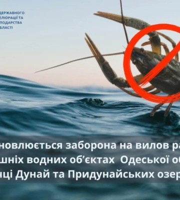 На Одещині заборонили вилов раків: подробиці