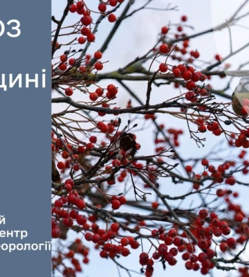 Стало відомо, коли мокрий сніг повернеться на Рівненщину