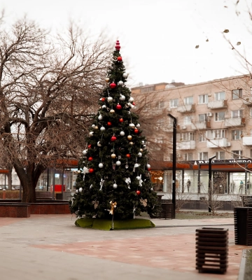 У Черкасах у сквері &quot;Юність&quot; встановлюють ялинку