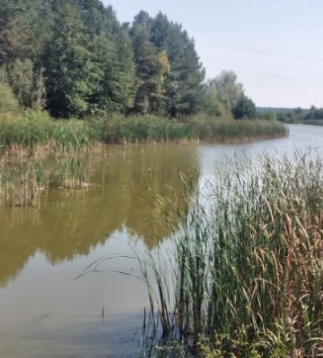 Громада на Волині віддає в оренду ставок площею 2,7 гектара