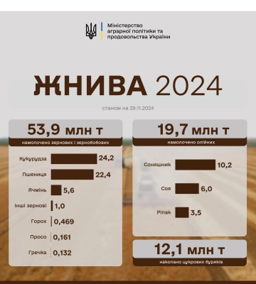 Жнива 2024: в Україні зібрано 76,3 млн тонн зернових і олійних культур