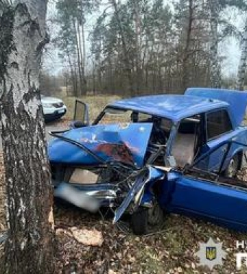 На Полтавщині нетверезий кермувальник протаранив дерево