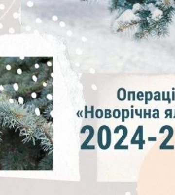 На Миколаївщині анонсовано операцію &quot;Новорічна ялинка&quot;