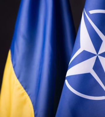 Підсумки 03.12: Без альтернативи і воєнний стан