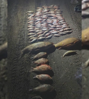 Порибалив на понад 170 тис. грн: браконьєр попався на Харківщині