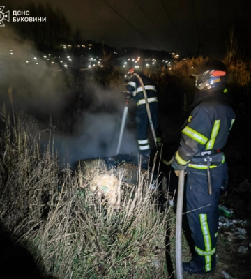 У Чернівцях розгорівся сухостій, невідомі підпалили сміття