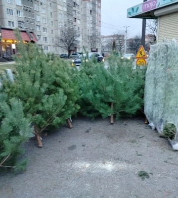 Скільки заробляють луцькі патрульні
