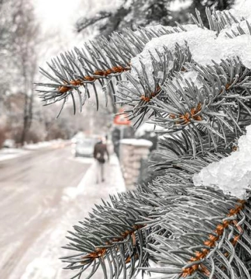 Кілька наступних днів у Львові очікують ожеледицю