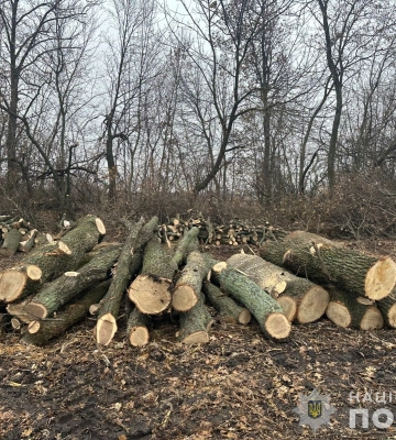 На Конотопщині поліцейські затримали нелегальних лісорубів