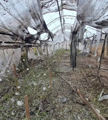 У Нікополі Дніпропетровської області окупанти вбили літню жінку