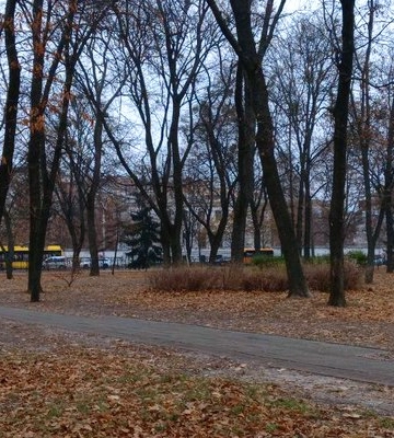 Туман та дрібний дощ зі снігом: якою буде погода у Полтаві та області сьогодні