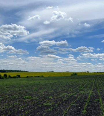 На Тернопільщині землі, на яких розташована пам'ятка археології, повернули державі