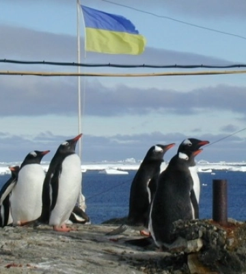 У Києві відкриється фотовиставка Національного антарктичного наукового центру