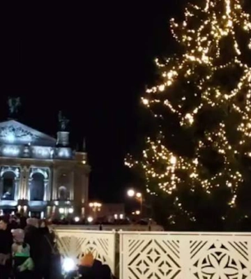 Во Львове зажгли главную елку города: как она выглядит в этом году
