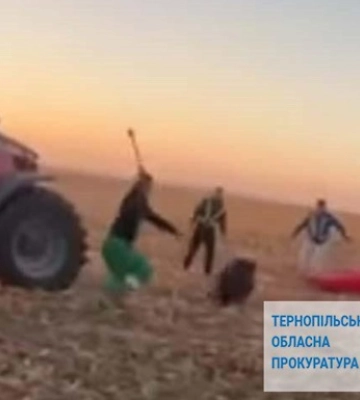 Повідомили про підозру 2 працівникам агропідприємства у жорстокому поводженні з тваринами на Тернопільщині 