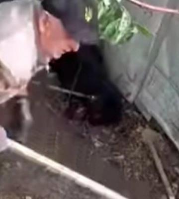 У Львові судитимуть чоловіка, який палицею забив до смерті собаку