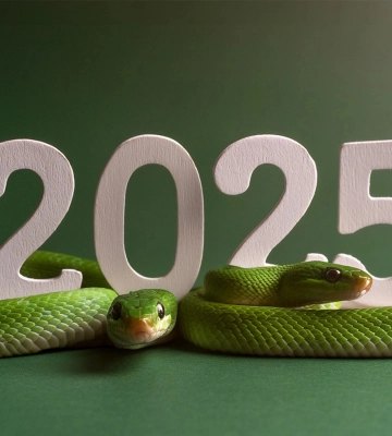 Китайський гороскоп на 2025 рік: як рік Змії вплине на ваше життя