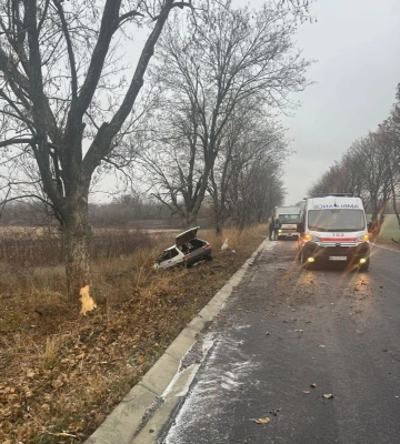 П’яний за кермом: на Одещині легковик врізався у дерево та з’їхав у кювет