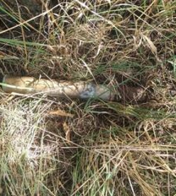 Завтра на Полтавщині знищать боєприпас часів Другої світової війни