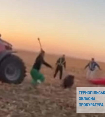 Бросали ножи и пытались переехать трактором — в Тернопольской области люди издевались над дикими животными