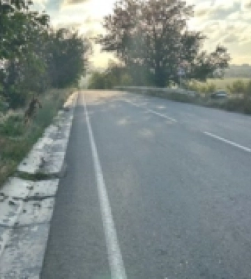 Судитимуть двох водіїв, які допустили ДТП та травмування пасажирів у Білгород-Дністровському районі
