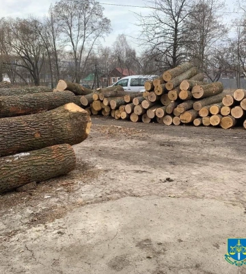 На Сумщині судитимуть екскерівника «Сумиоблагролісу» та директорів 7 дочірніх підприємств