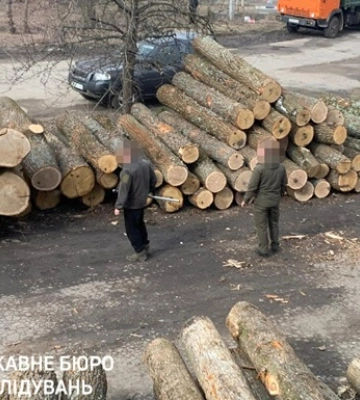 Збитки на 11 млн грн: на Сумщині судитимуть посадовців лісгоспу
