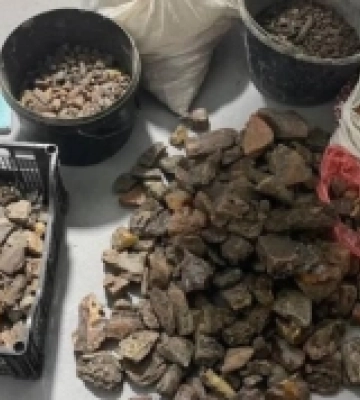 На Рівненщині арештували депутата, який зі спільниками купив бурштину на понад мільйон гривень