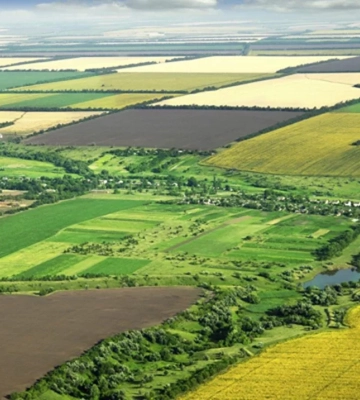 Земельну ділянку у Львівському районі виставили на онлайн-аукціон