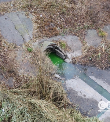 Біля Козачого острова у Кропивницькому воду зафарбували у колір тархуну (фоторепортаж)