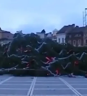 У Румунії впала найвища новорічна ялинка країни (відео)
