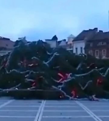 У Румунії впала 29-метрова новорічна ялинка