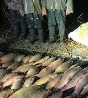 На Одещині браконьєри завдали збитків рибним запасам на понад 450 тисяч гривень