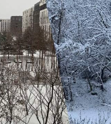 Киев и Львов засыпало снегом: яркие кадры зимней сказки