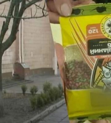 В Кропивницком первоклассники наелись крысиного яда: его принесли на школьную ярмарку