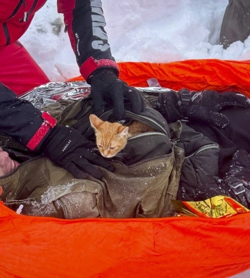 Житель Харківської області ледь не замерз на смерть, намагаючись через гори потрапити до Румунії. Його врятував кіт 