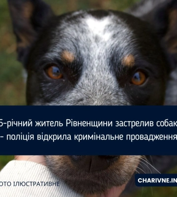 15-річний житель Рівненщини застрелив собаку - поліція відкрила кримінальне провадження