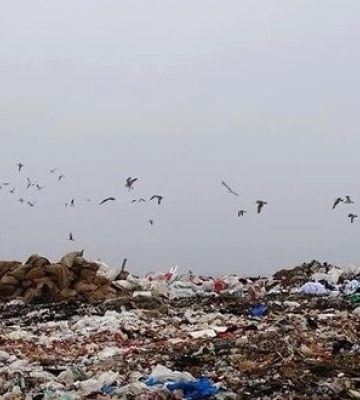 Окупанти хочуть створити сміттєзвалище поблизу Олешківських пісків на Херсонщині