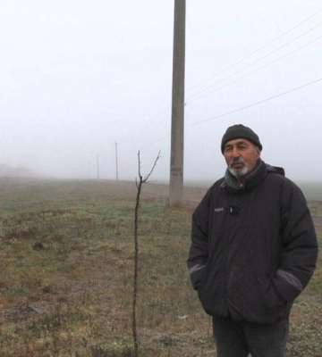 Аграрій з півдня Одещини спробував відновити лісосмугу: що з цього вийшло