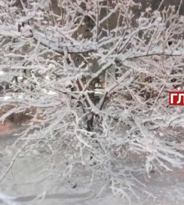 У деяких областях сніг та ожеледиця: прогноз погоди на 12 грудня